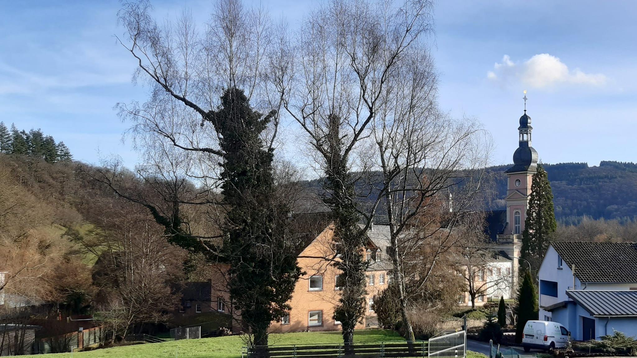 Kloster Springiersbach