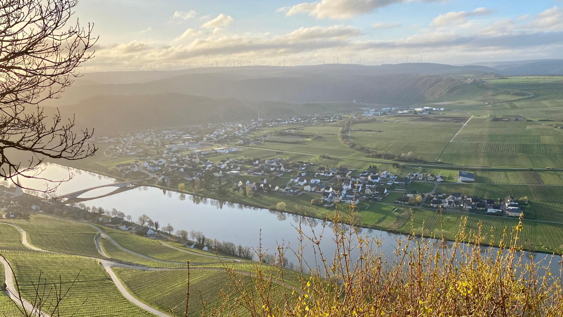 Piesport Spoarkapelle und Spoarbildchen 11 - Grandiose Aussicht von der Spoarkapelle ins Moseltal